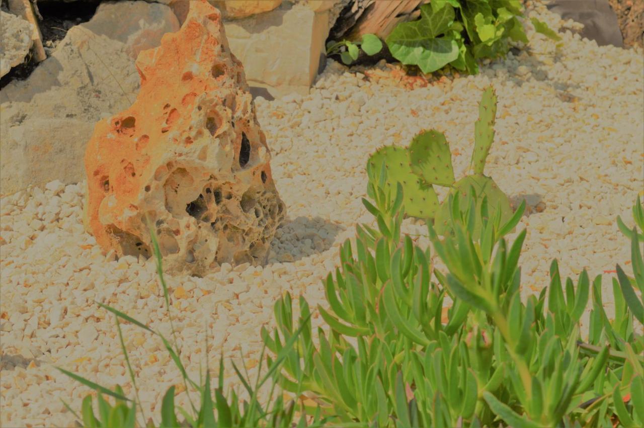 فالوريس Villa La Terre Des Lauriers المظهر الخارجي الصورة